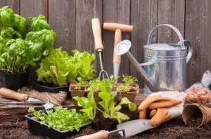 Using your garage for a gardening head start